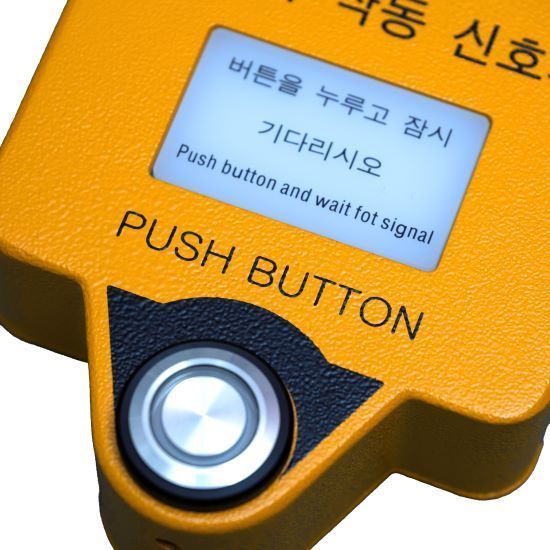 Pedestrian Button